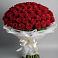 Букет 101 Красная роза Блэк Мэджик в Рыздвяный