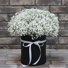 Цветочная композиция из Гипсофила в шляпной коробке #REPLACE_PRED# Рыздвяный