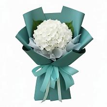 Букет цветов из:  Гортензия в Рыздвяный